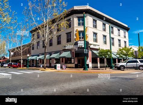 Lodi Irish .